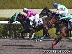 カラープリント(アルミ枠なし)2015年3月8日阪神1R 3歳未勝利(マダムウルル)