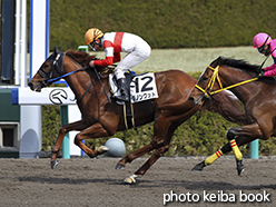 カラーパネル2015年3月8日阪神3R 3歳未勝利(ダノングッド)