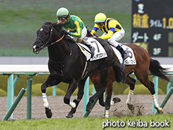 カラーパネル2015年3月8日阪神8R 4歳上1000万下(サトノデプロマット)