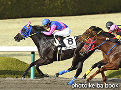 カラープリント(アルミ枠付き)2015年3月8日阪神12R 4歳上1000万下(メイショウロフウ)