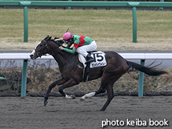 カラーパネル2015年3月8日中山2R 3歳未勝利(ランバイワイルド)