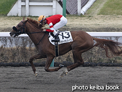 カラープリント(アルミ枠付き)2015年3月8日中山3R 3歳新馬(アオイオンリーワン)