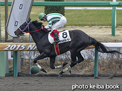 カラーパネル2015年3月8日中山4R 障害オープン(マキオボーラー)