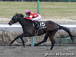 カラーパネル2015年3月8日中山10R 上総ステークス(レッドグランザ)