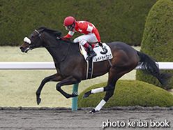 カラーパネル2015年3月14日阪神7R 4歳上500万下(レッドセイリング)