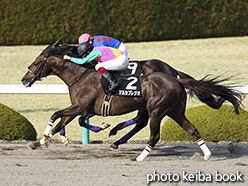 カラープリント(アルミ枠なし)2015年3月14日阪神11R 仁川ステークス(マルカプレジオ)