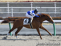 カラープリント(アルミ枠付き)2015年3月14日中京8R 4歳上500万下(ゴールドブラザー)