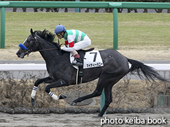 カラープリント(アルミ枠なし)2015年3月14日中山1R 3歳未勝利(マイティーハニー)