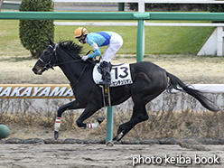 カラープリント(アルミ枠なし)2015年3月14日中山4R 3歳新馬(センチュリオン)