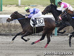 カラーパネル2015年3月14日中山6R 3歳500万下(ポムフィリア)