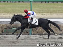 カラープリント(アルミ枠付き)2015年3月14日中山8R 4歳上500万下(ワンダーロード)