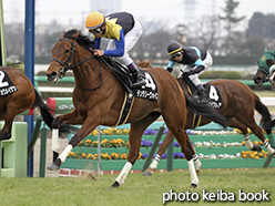 カラープリント(アルミ枠なし)2015年3月14日中山11R アネモネステークス(テンダリーヴォイス)