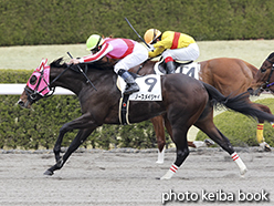 カラープリント(アルミ枠付き)2015年3月15日阪神2R 3歳未勝利(ノースメイジャイ)