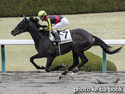 カラープリント(アルミ枠付き)2015年3月15日阪神3R 3歳未勝利(サーサルヴァトーレ)