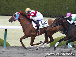 カラープリント(アルミ枠付き)2015年3月15日阪神8R 4歳上500万下(フィールドメジャー)