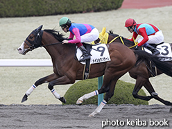 カラープリント(アルミ枠付き)2015年3月15日阪神12R 4歳上1000万下(メイショウソラーレ)