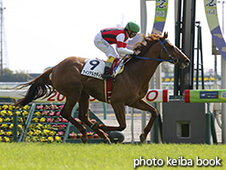 カラーパネル2015年3月15日中京4R 障害未勝利(ウインアルカディア)