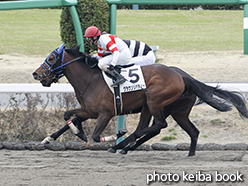 カラープリント(アルミ枠付き)2015年3月15日中山4R 3歳未勝利(クラウンリバティー)