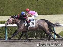 カラーパネル2015年3月21日阪神1R 3歳未勝利(モズライジン)