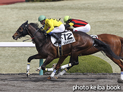 カラーパネル2015年3月21日阪神3R 3歳新馬(エルメネジルド)