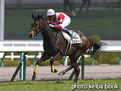 カラーパネル2015年3月21日阪神4R 3歳未勝利(ブルローネ)