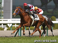 カラープリント(アルミ枠なし)2015年3月21日阪神5R 3歳未勝利(ゼットスマイル)