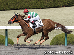 カラーパネル2015年3月21日阪神7R 4歳上500万下(トータルヒート)