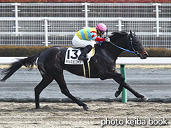 カラープリント(アルミ枠なし)2015年3月21日中京8R 4歳上500万下(アグネスユニコーン)