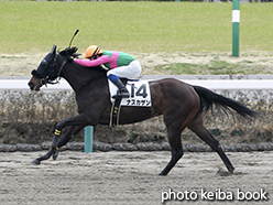 カラーパネル2015年3月21日中山1R 3歳未勝利(ナスカザン)