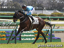 カラーパネル2015年3月21日中山5R 3歳未勝利(マンゴジェリー)