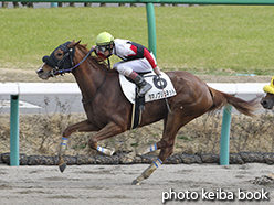 カラーパネル2015年3月21日中山6R 3歳500万下(タマノブリュネット)