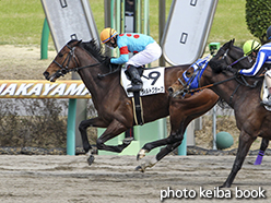 カラープリント(アルミ枠付き)2015年3月21日中山8R 4歳上500万下(ヴィルトグラーフ)