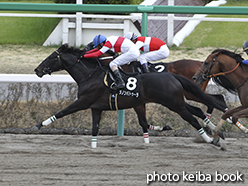 カラープリント(アルミ枠付き)2015年3月21日中山10R 韓国馬事会杯(ダノンバトゥーラ)