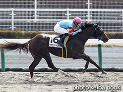 カラーパネル2015年3月22日中京3R 3歳未勝利(ヤマニンシャンデル)