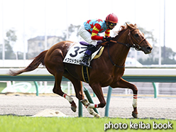 カラーパネル2015年3月22日中京4R 障害未勝利(イフウドウドウ)