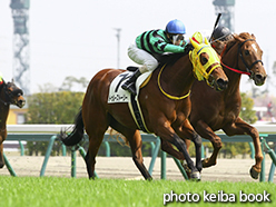 カラープリント(アルミ枠なし)2015年3月22日中京5R 3歳未勝利(トゥルーストーリー)