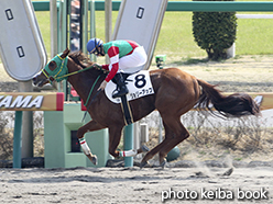 カラーパネル2015年3月22日中山1R 3歳未勝利(ジョリーアップ)