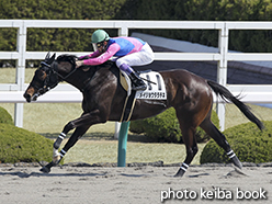 カラープリント(アルミ枠なし)2015年3月28日阪神1R 3歳未勝利(メイショウタラチネ)