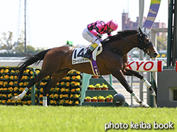 カラーパネル2015年3月28日中京5R 障害未勝利(スマートリバティー)