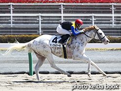 カラーパネル2015年3月28日中京6R 4歳上500万下(マーブルケーキ)