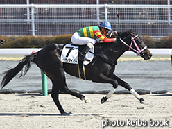 カラープリント(アルミ枠なし)2015年3月28日中京9R 4歳上500万下(トウケイタイガー)