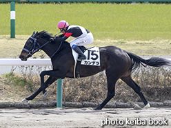 カラープリント(アルミ枠なし)2015年3月28日中山1R 3歳未勝利(カンデラ)