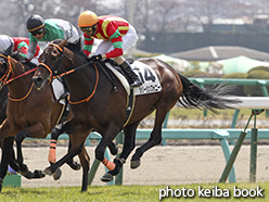 カラープリント(アルミ枠なし)2015年3月28日中山4R 3歳未勝利(シリーシンフォニー)