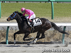 カラープリント(アルミ枠なし)2015年3月28日中山7R 4歳上500万下(ツクバホシノオー)