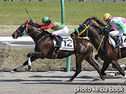 カラープリント(アルミ枠なし)2015年3月28日中山8R 4歳上500万下(シゲルホウオウザ)