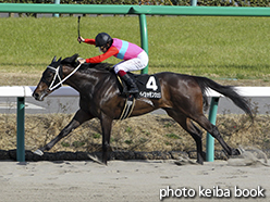 カラーパネル2015年3月28日中山10R 春風ステークス(ペイシャモンシェリ)