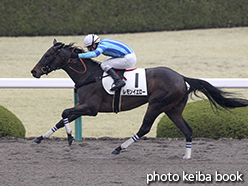 カラープリント(アルミ枠付き)2015年3月29日阪神2R 3歳未勝利(レモンイエロー)