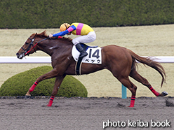 カラーパネル2015年3月29日阪神8R 4歳上500万下(ベック)