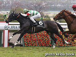 カラーパネル2015年3月29日阪神9R 四国新聞杯(リラヴァティ)