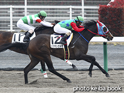 カラープリント(アルミ枠なし)2015年3月29日中京1R 3歳未勝利(ハクサンエルモ)